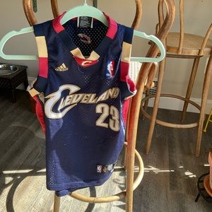Lebron James Cleveland vintage jersey